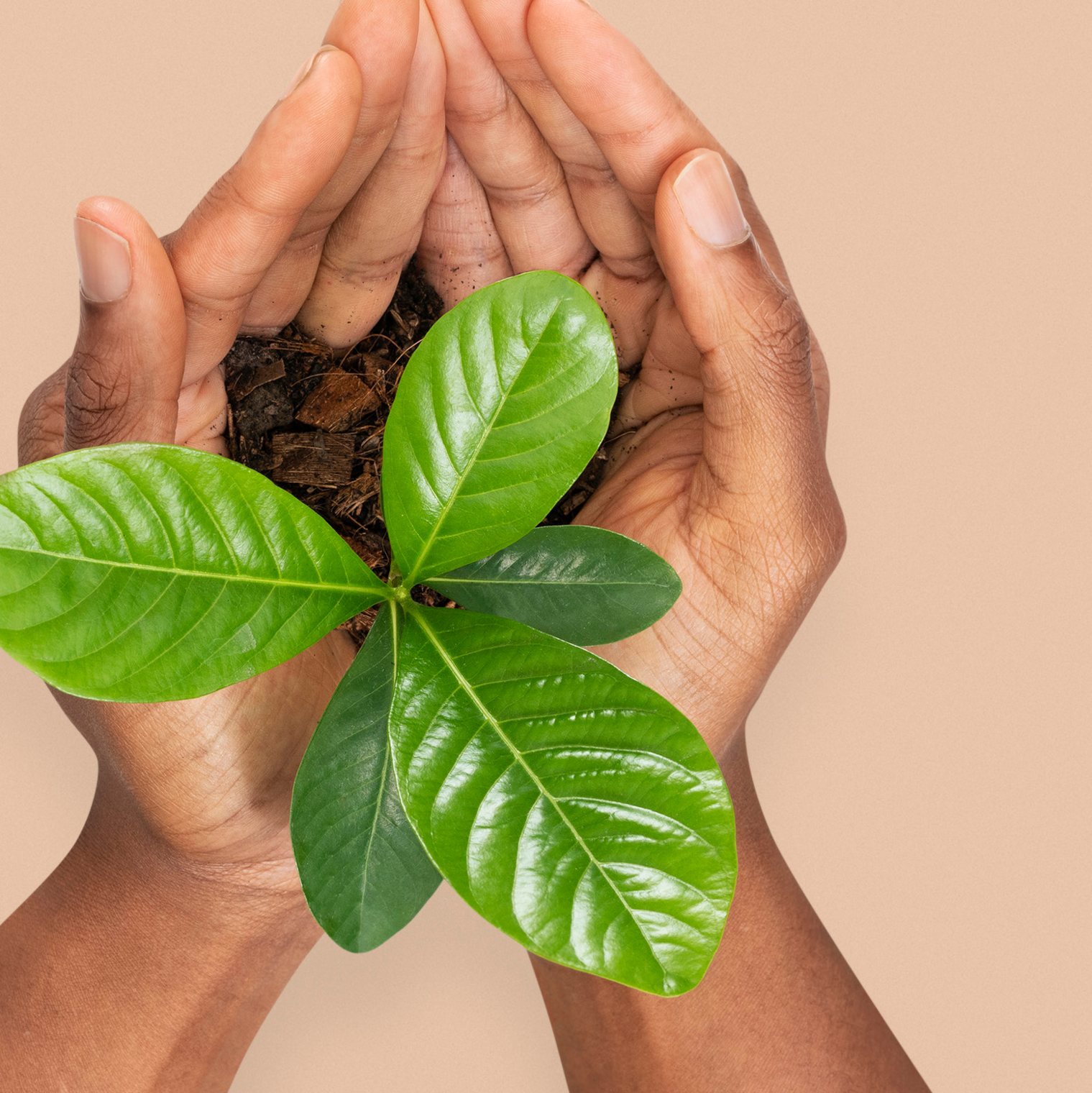 Consultez et télécharger le rapport d'activité de la Fondation GNIDEHOUE pour l'année 2022